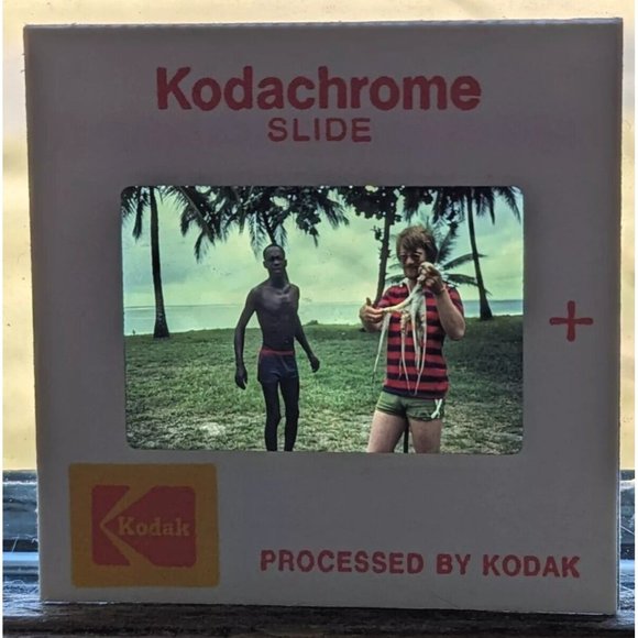 Kodachrome Slide Octopus Ocean Tourist Africa Holding Palm Trees Kodak Vtg 1979 - Picture 6 of 9